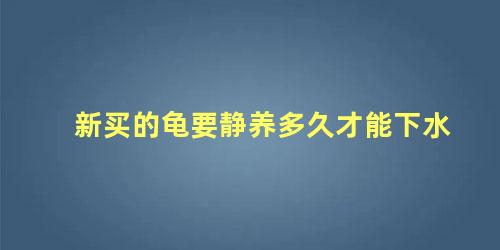 新买的龟要静养多久才能下水