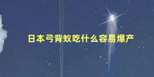 日本弓背蚁吃什么容易爆产