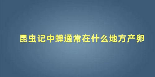 昆虫记中蝉通常在什么地方产卵