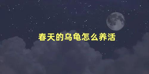 春天的乌龟怎么养活