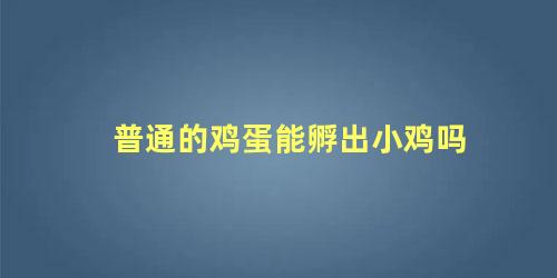 普通的鸡蛋能孵出小鸡吗