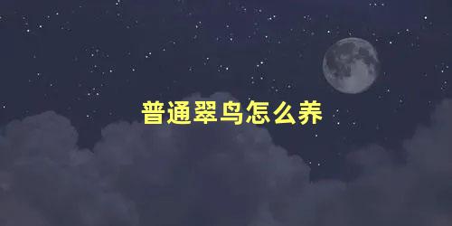 普通翠鸟怎么养