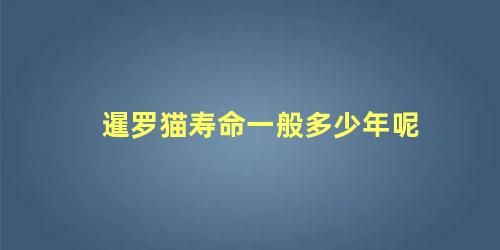 暹罗猫寿命一般多少年呢