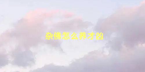 杂佛怎么养才凶