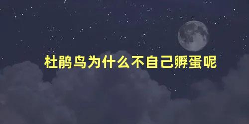 杜鹃鸟为什么不自己孵蛋呢