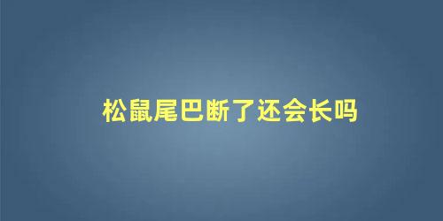 松鼠尾巴断了还会长吗