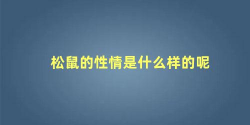 松鼠的性情是什么样的呢