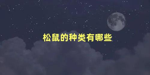 松鼠的种类有哪些