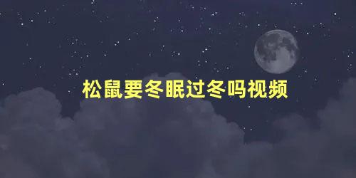 松鼠要冬眠过冬吗视频