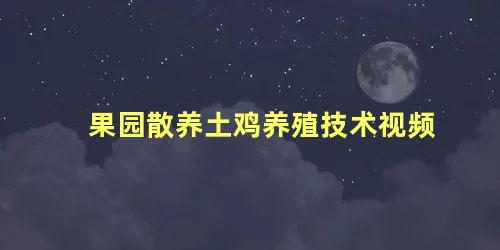 果园散养土鸡养殖技术视频