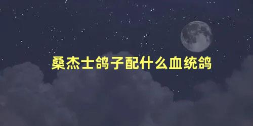 桑杰士鸽子配什么血统鸽