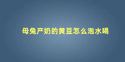 母兔产奶的黄豆怎么泡水喝