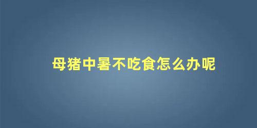 母猪中暑不吃食怎么办呢