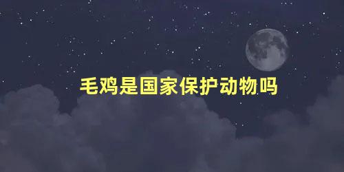 毛鸡是国家保护动物吗