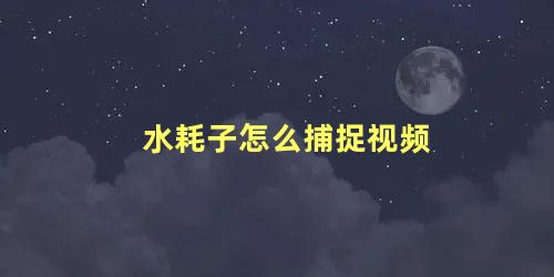 水耗子怎么捕捉视频