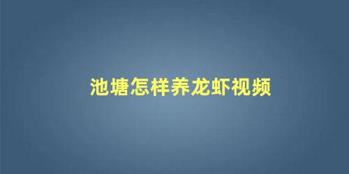 池塘怎样养龙虾视频