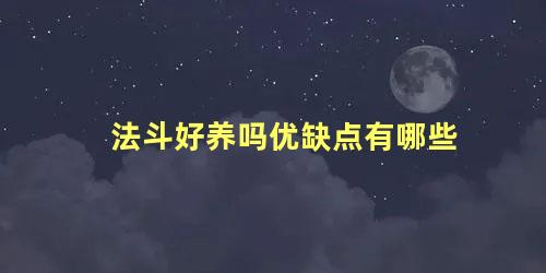 法斗好养吗优缺点有哪些