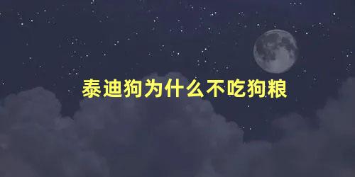 泰迪狗为什么不吃狗粮