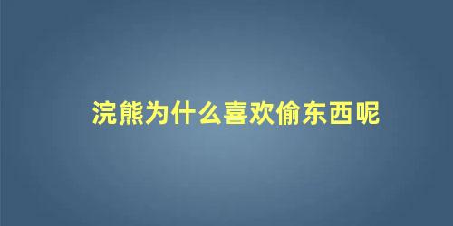 浣熊为什么喜欢偷东西呢