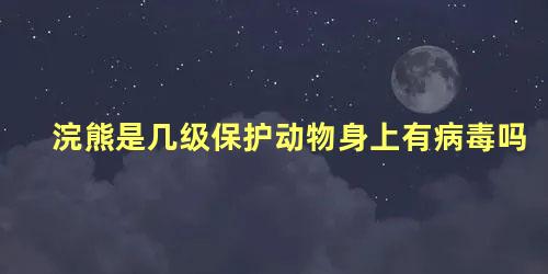 浣熊是几级保护动物身上有病毒吗