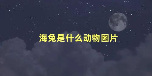 海兔是什么动物图片