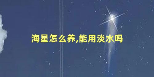 海星怎么养,能用淡水吗