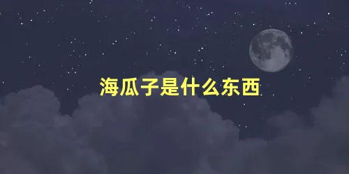 海瓜子是什么东西