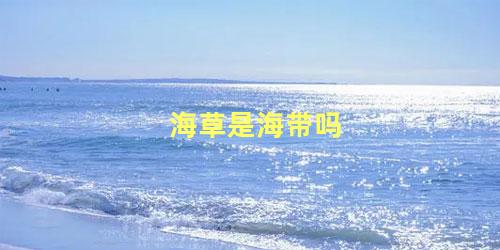 海草是海带吗