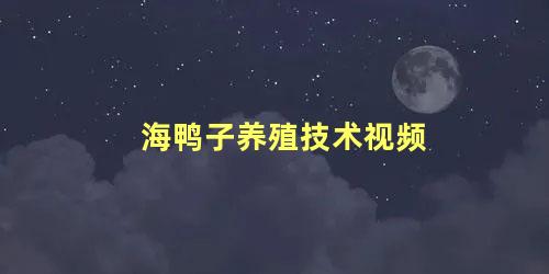 海鸭子养殖技术视频