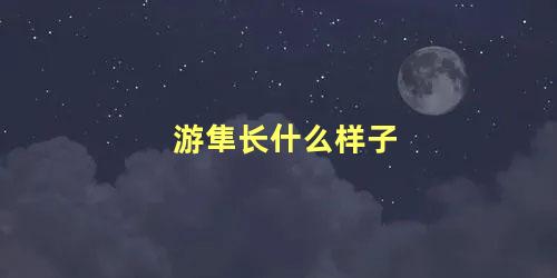 游隼长什么样子