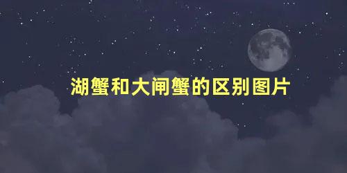 湖蟹和大闸蟹的区别图片