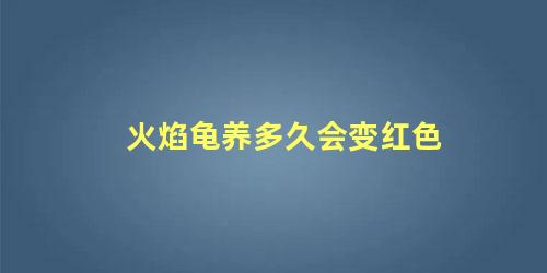 火焰龟养多久会变红色