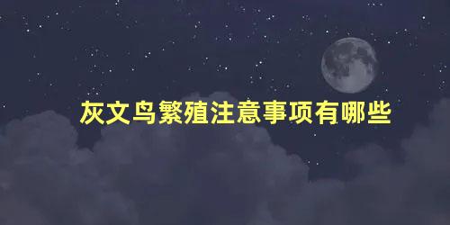 灰文鸟繁殖注意事项有哪些