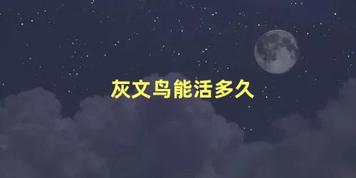 灰文鸟能活多久