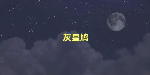 灰皇鸠