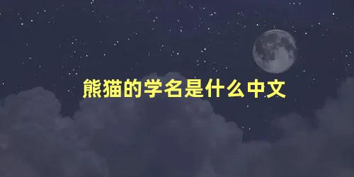 熊猫的学名是什么中文