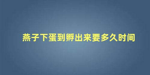 燕子下蛋到孵出来要多久时间