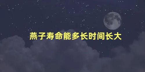 燕子寿命能多长时间长大