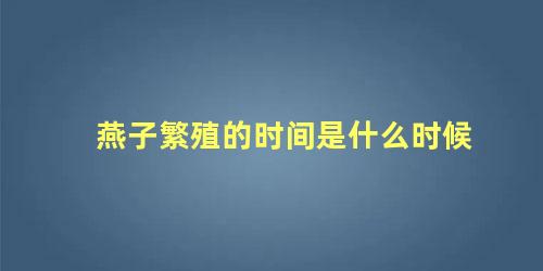 燕子繁殖的时间是什么时候