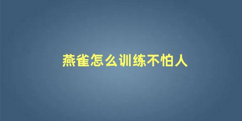 燕雀怎么训练不怕人