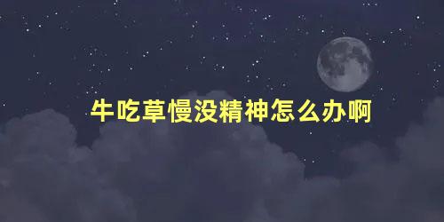 牛吃草慢没精神怎么办啊