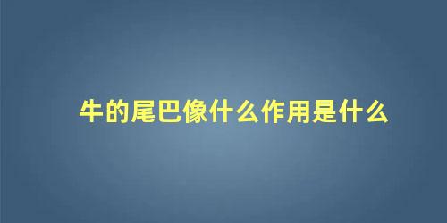 牛的尾巴像什么作用是什么