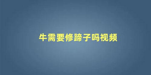 牛需要修蹄子吗视频