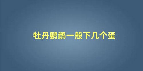 牡丹鹦鹉一般下几个蛋