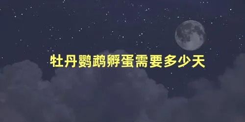 牡丹鹦鹉孵蛋需要多少天