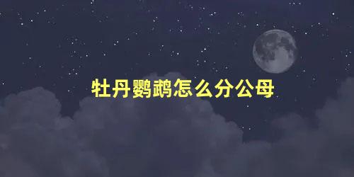 牡丹鹦鹉怎么分公母