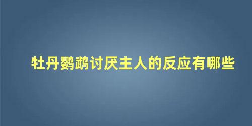 牡丹鹦鹉讨厌主人的反应有哪些