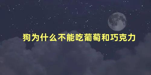 狗为什么不能吃葡萄和巧克力