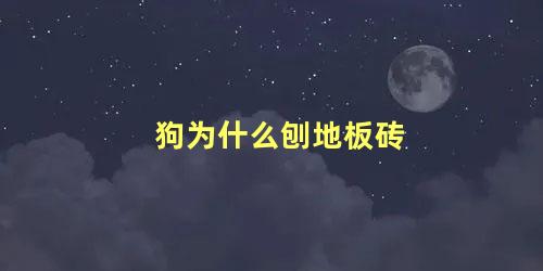 狗为什么刨地板砖