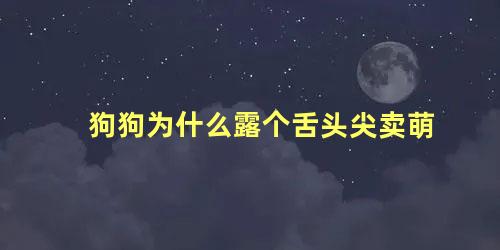 狗狗为什么露个舌头尖卖萌